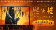 久久免费视频3